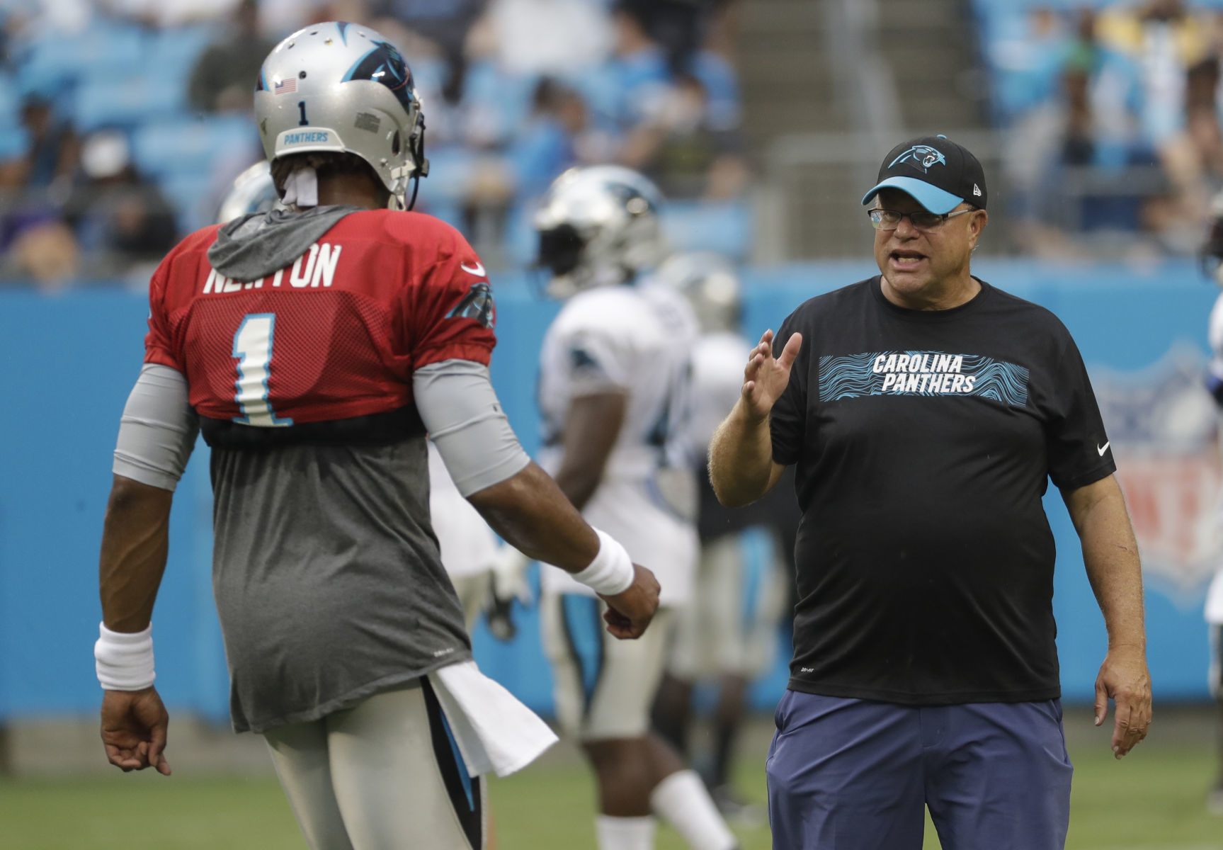 Panthers Fan Fest Football
